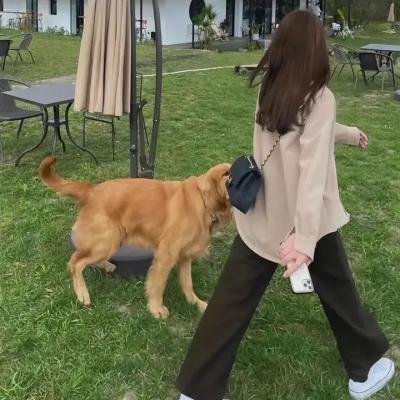 艾洛思的顶级生活